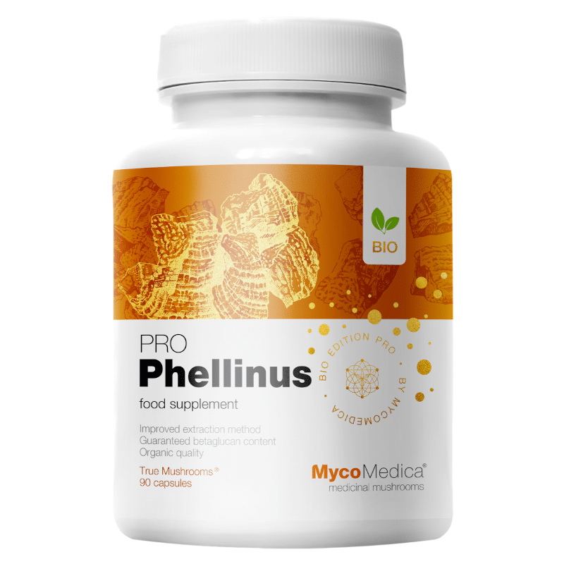 MycoMedica Phellinus linteus PRO 32 % - Mesima (czarny grzyb kopytny) - 90 kapsułek