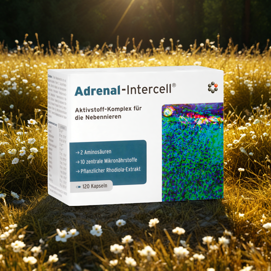 Adrenal-Intercell Mitopharma - Wsparcie organizmu - 120 kapsułek