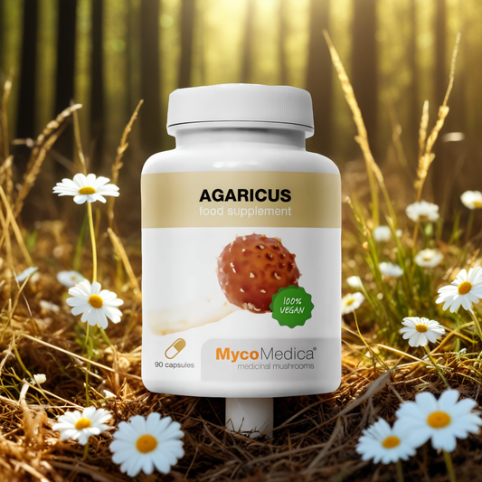 Agaricus MycoMedica 500 mg - Wspiera naturalne mechanizmy obronne i odporność - 90 kapsułek