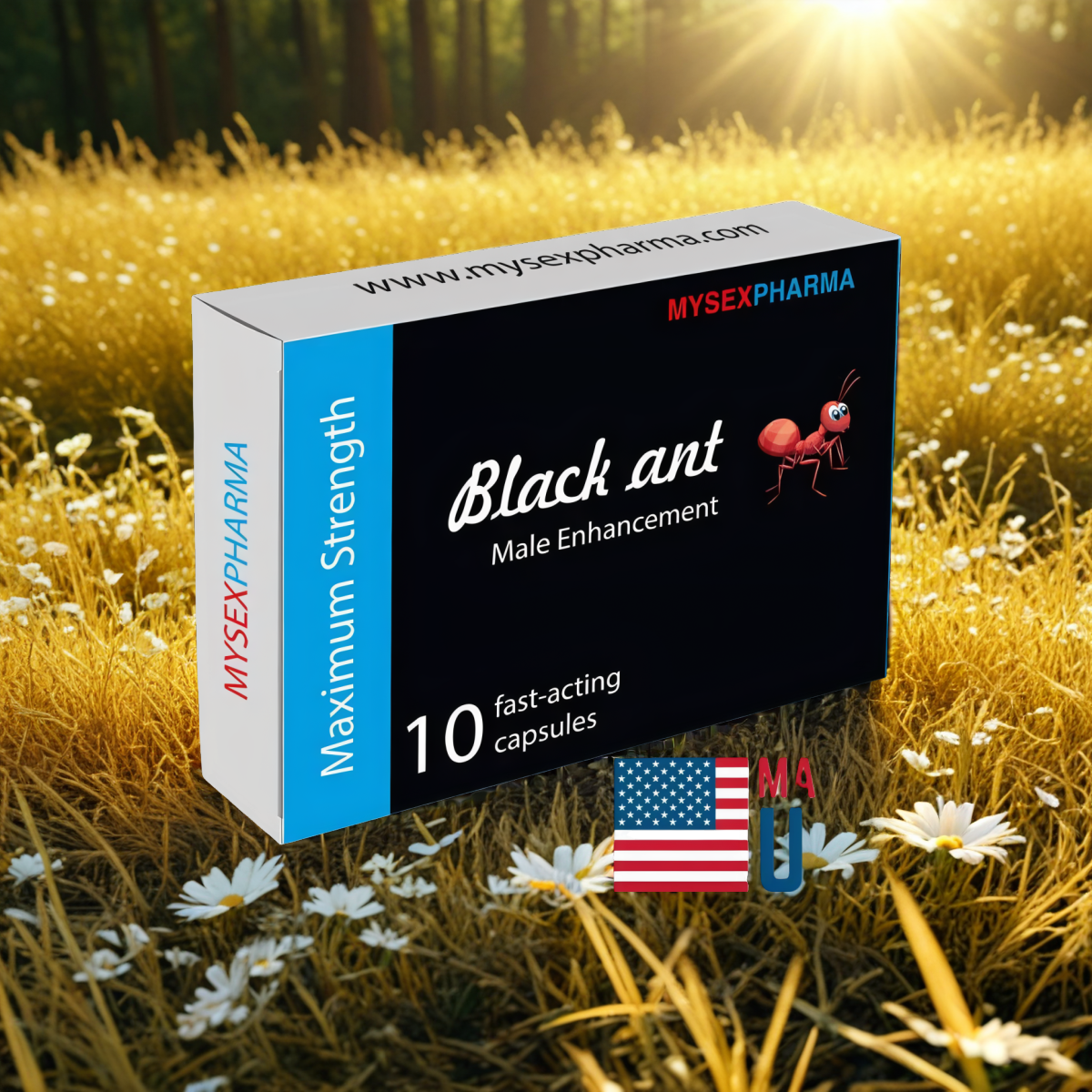 BLACK ANT 10