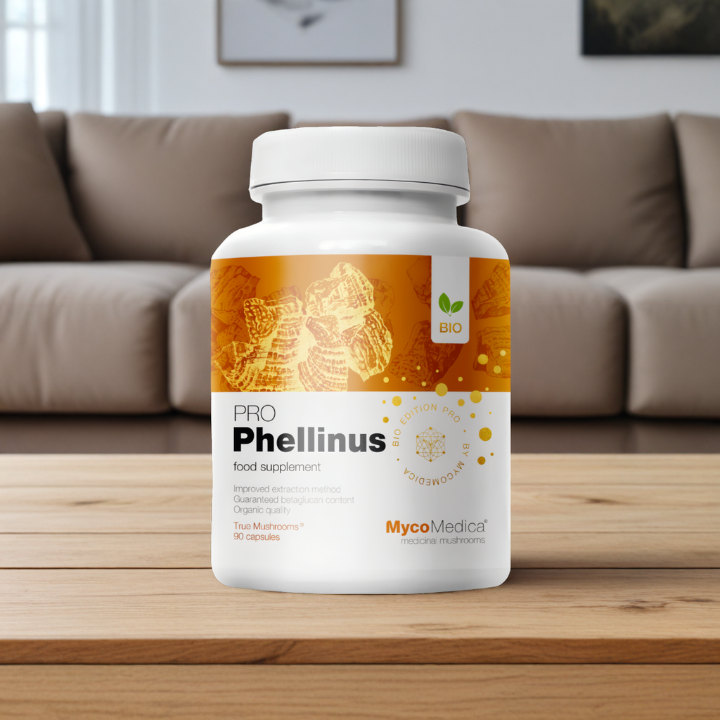MycoMedica Phellinus linteus PRO 32 % - Mesima (czarny grzyb kopytny) - 90 kapsułek