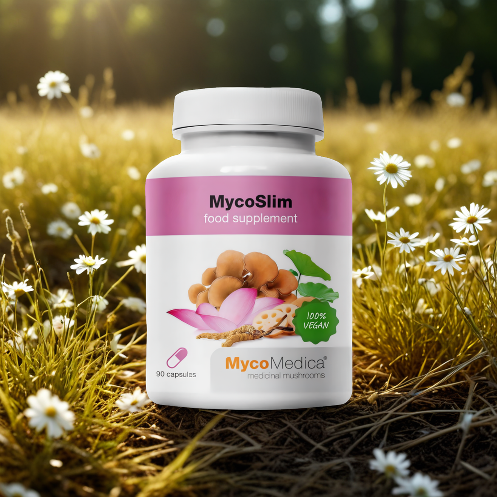 MycoSlim MycoMedica - Pomaga utrzymać optymalną wagę ciała - 90 kapsułek