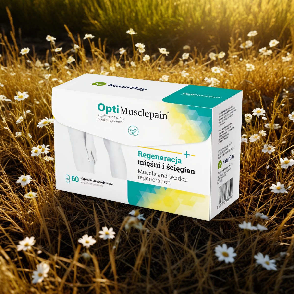Opti Musclepain NaturDay - Regeneracja mięśni i ścięgien - 60 kapsułek
