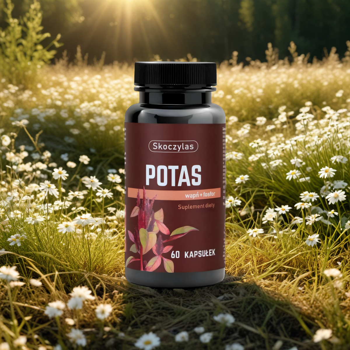 Potas + Wapń + Fosfor Skoczylas - Wspomaga zdrowie kości i zębów - 60 kapsułek