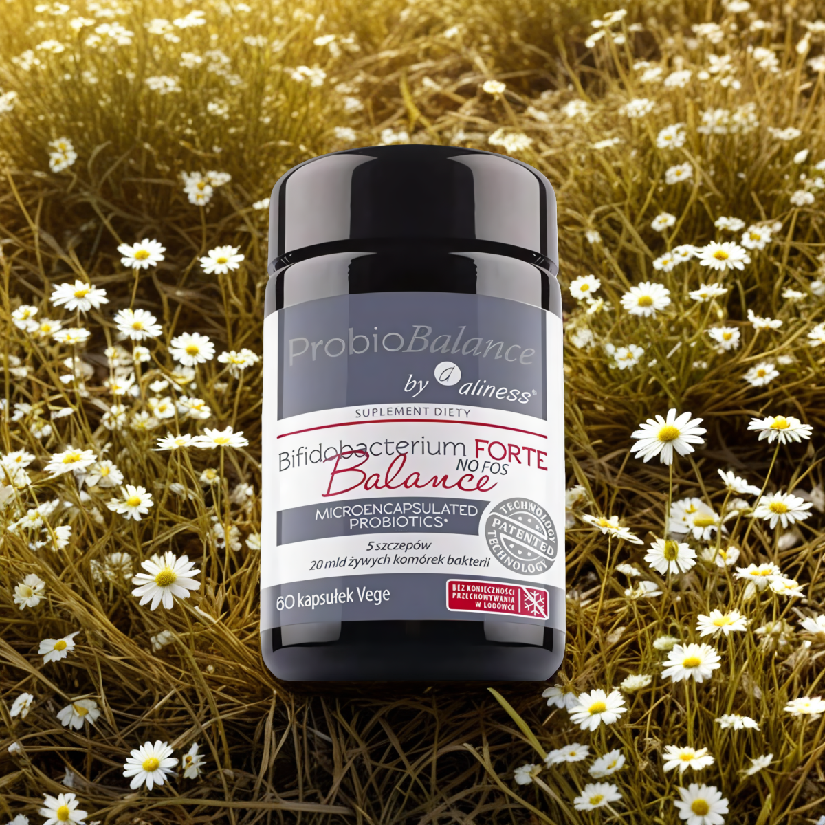 Probiotyk BIFIDOBACTERIUM FORTE NO FOSS Balance ProbioBalance Aliness - 60 kapsułek Vege