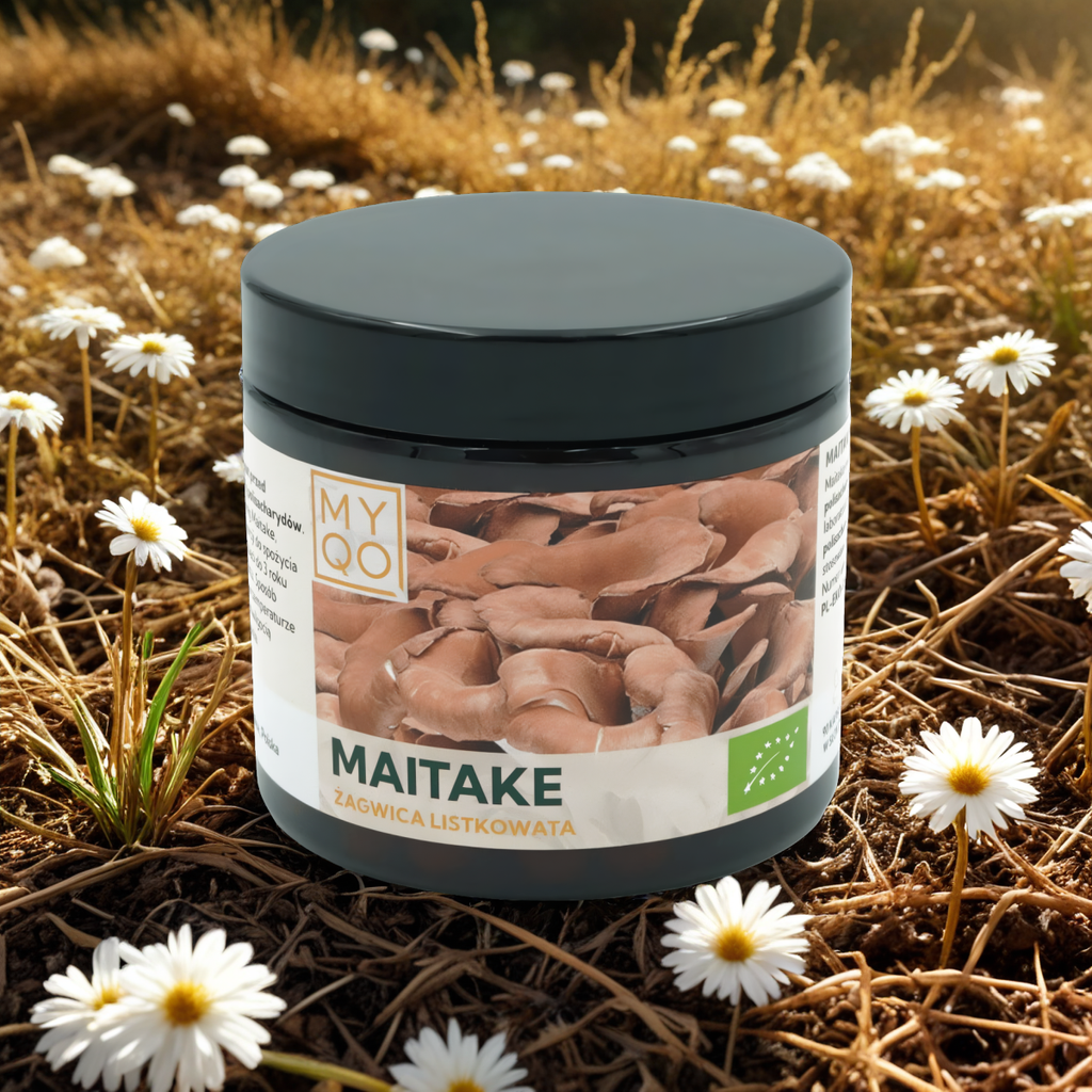 Żagwica listkowata Maitake BIO 500 mg 30% MYQO - 90 kapsułek